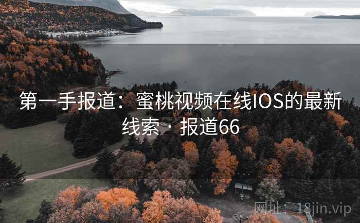 第一手报道:蜜桃视频在线IOS的最新线索 · 报道66