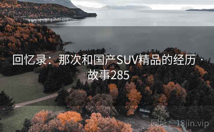 回忆录:那次和国产SUV精品的经历 · 故事285