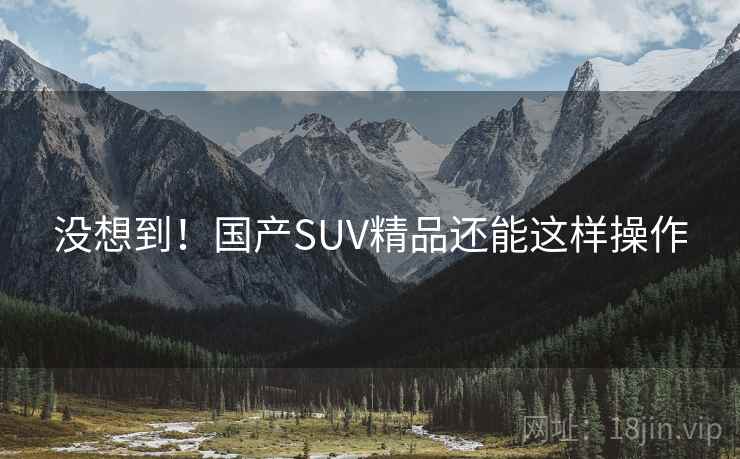 没想到!国产SUV精品还能这样操作