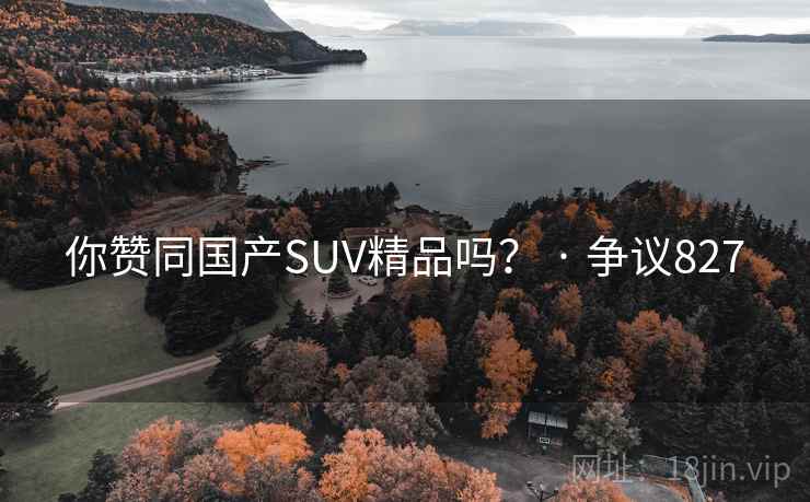 你赞同国产SUV精品吗? · 争议827
