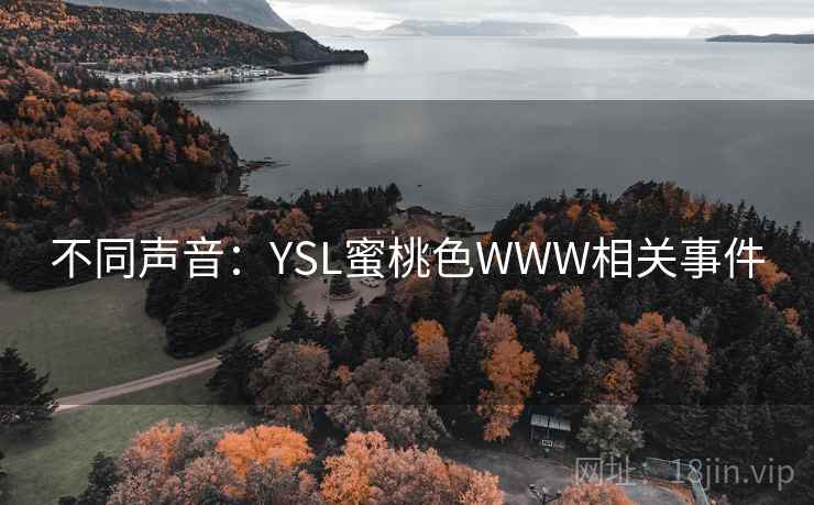 不同声音:YSL蜜桃色WWW相关事件